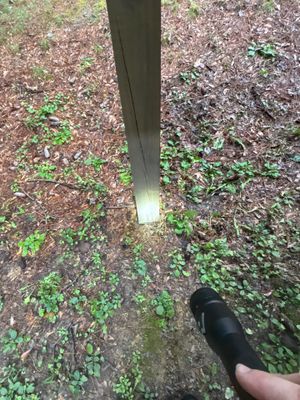 A flashlight illuminates an exterior drainage line or pipe installation being laid in a yard with mulch and ground