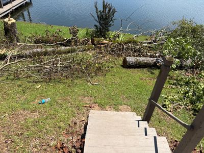 Exterior yard showing a residential property with a concrete deck/dock, overgrown vegetation, fallen logs, and a
