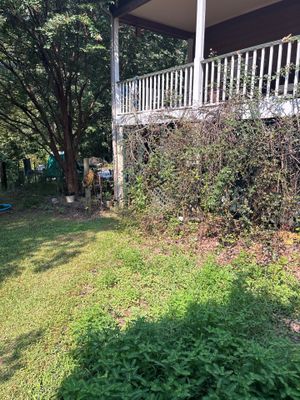 Exterior view of a house with deck and overgrown vegetation in the yard showing no visible foundation repair or