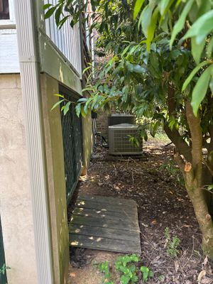 A side yard or alley area with overgrown vegetation, mulch, and a wooden pathway, showing a landscape that needs