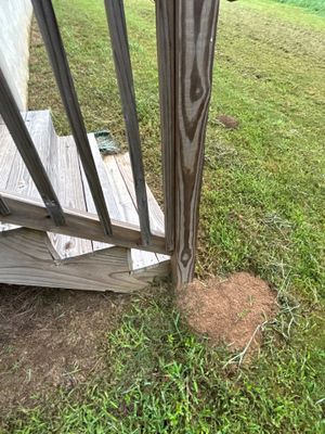 Exterior view showing a deck post foundation with exposed soil and grass, and a visible yard drainage catch basin or