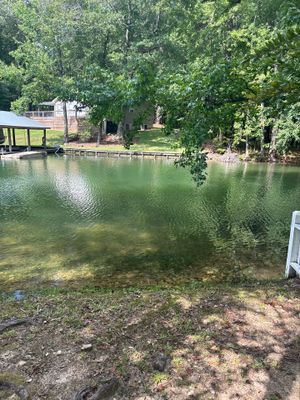 A residential property with a pond or water feature surrounded by mature trees and landscaping, showing no visible