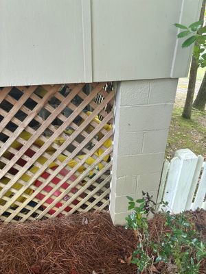 Exterior foundation area showing a lattice screen installed against the foundation wall with mulch and plants below,