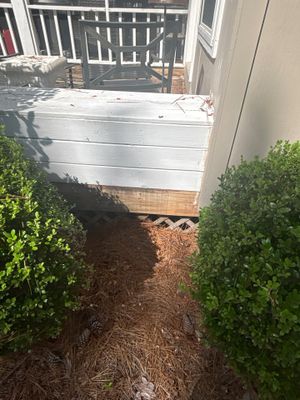 Exterior foundation area with a white drainage basin or catch basin installed in mulched ground between landscaping