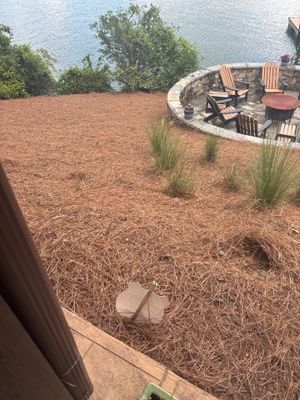 Exterior yard drainage installation in progress with a catch basin or drain box visible in a mulched area adjacent to a
