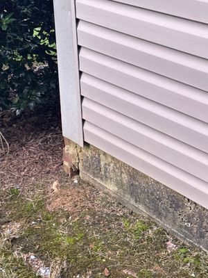 Exterior foundation perimeter showing moss and algae growth on concrete footing with adjacent landscaping, indicating