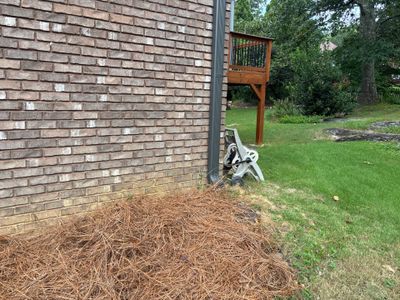 Exterior view of a brick foundation with a dog resting against the wall, mulch base, wooden birdhouse, and healthy lawn