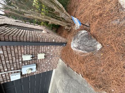 Exterior foundation area showing installed yard drainage with a catch basin or drain box visible in the lawn next to