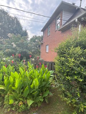 A residential brick home with mature landscaping, garden plants, and shrubs showing the exterior property before any