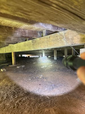 Crawl space under a house with exposed wooden support beams and visible interior foundation area with some moisture or