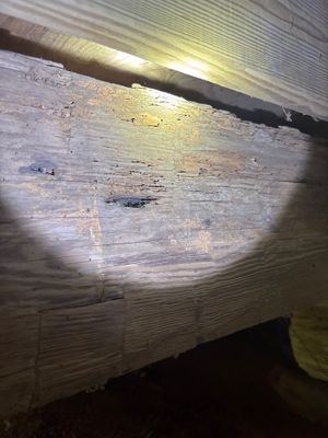 Poorly lit interior view of wooden structural elements, possibly a basement or crawl space, showing water damage and
