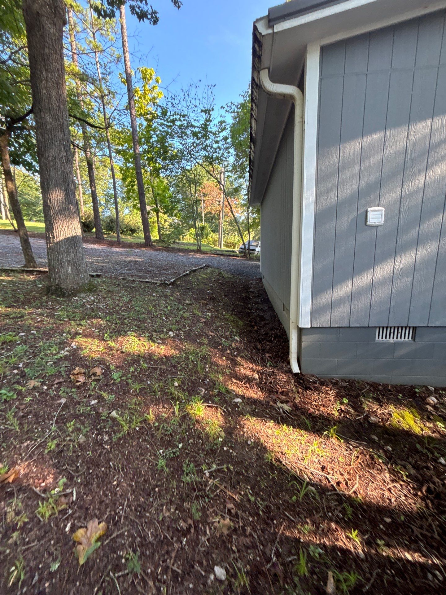 A wooded residential yard with a gray storage shed or small building, showing the surrounding landscape with trees,