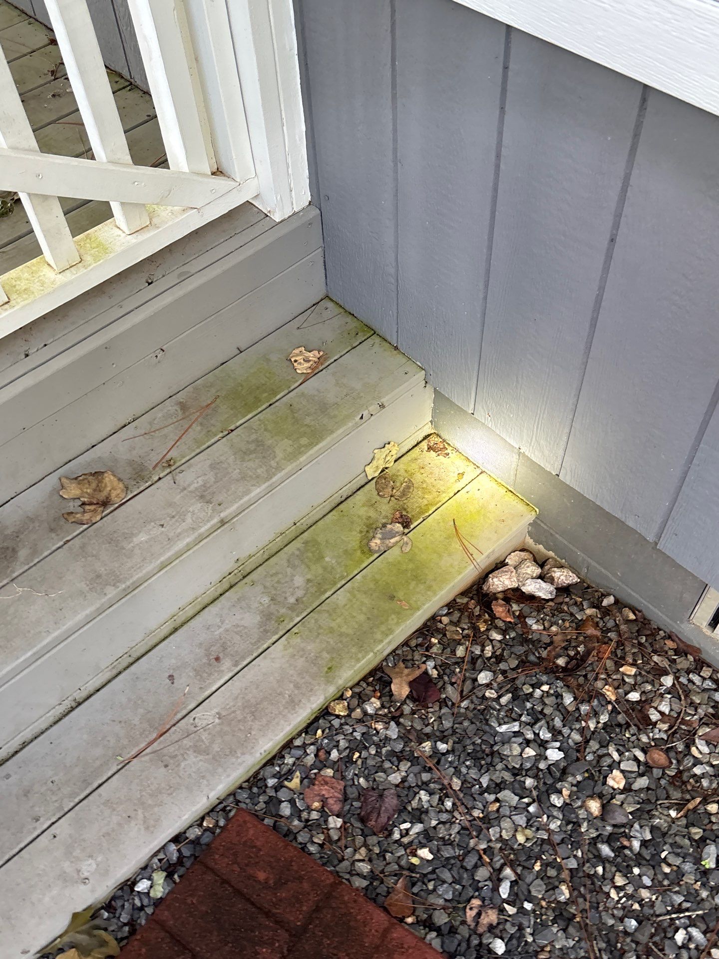 An exterior foundation area showing moss/algae growth on wooden deck boards and gravel-filled ground with visible