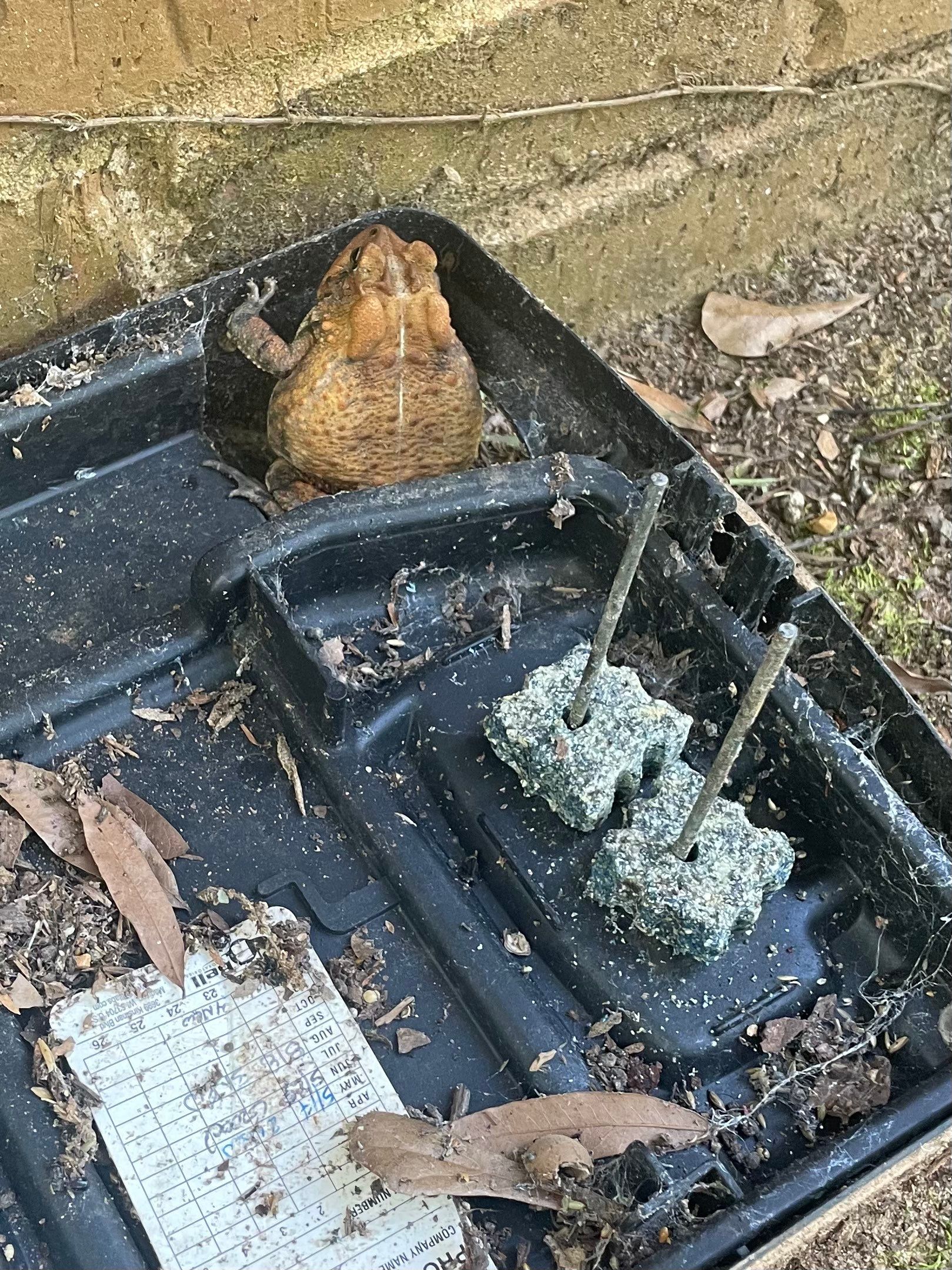 APS Catch Basin job site in Alabama