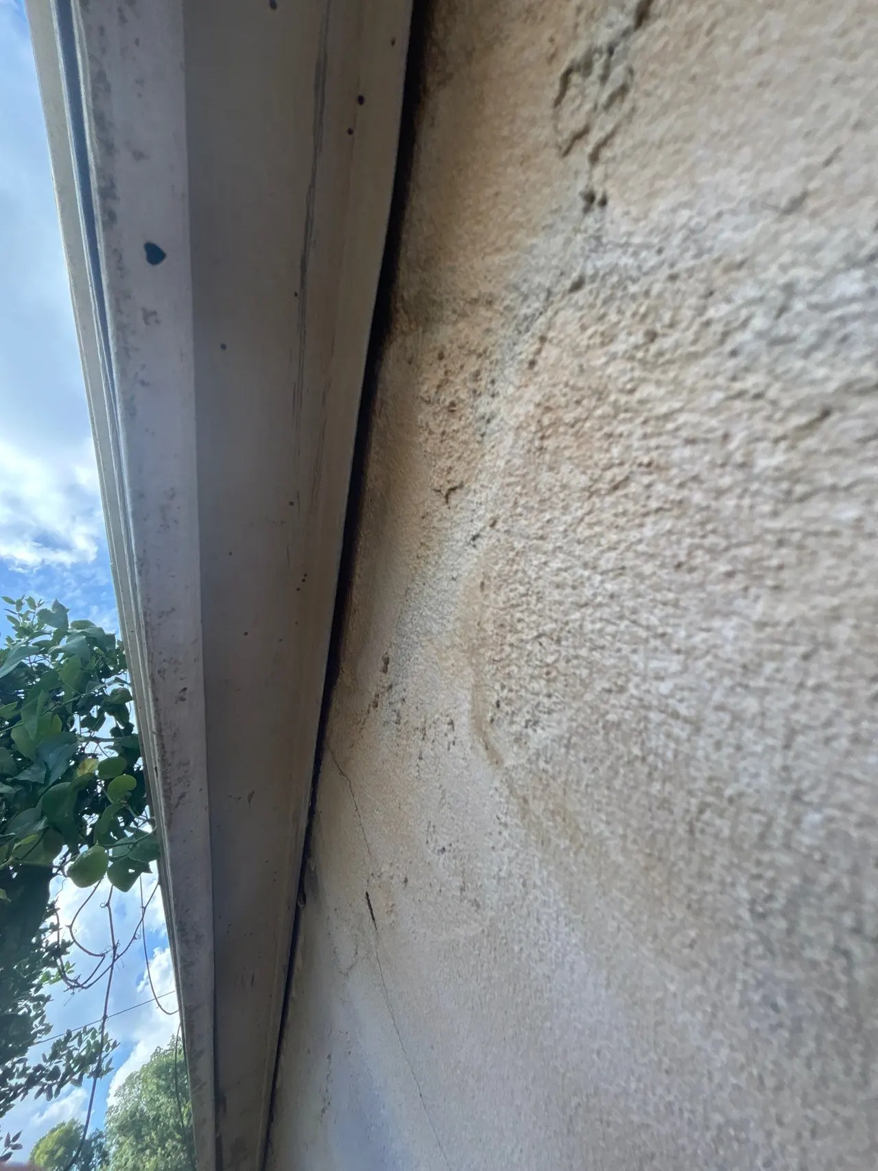 APS Foundation Repair and Waterproofing inspecting water stains and cracks on an exterior wall, likely caused by clogged