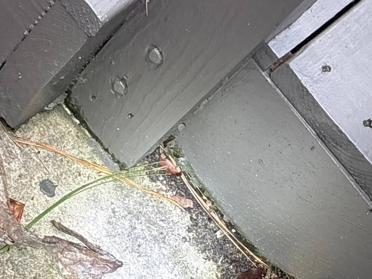 APS Foundation Repair and Waterproofing inspecting a crack in an outdoor concrete expansion joint in Vestavia Hills, AL.