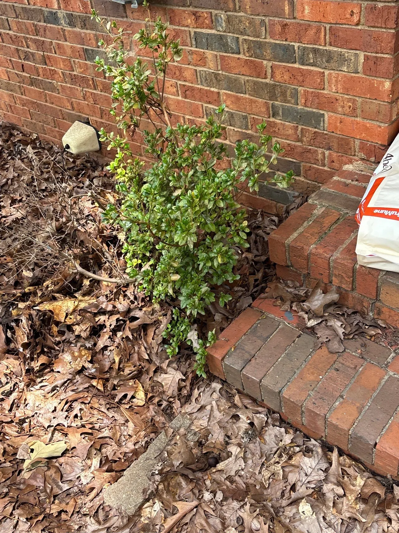 APS Foundation Repair and Waterproofing inspecting a stair-step crack in a brick foundation in Alabaster, AL.