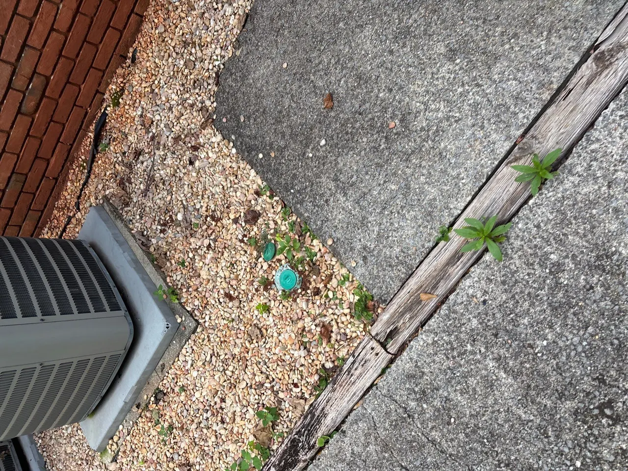 APS Foundation Repair and Waterproofing inspecting cracks around a concrete expansion joint with weeds in Hueytown, AL.