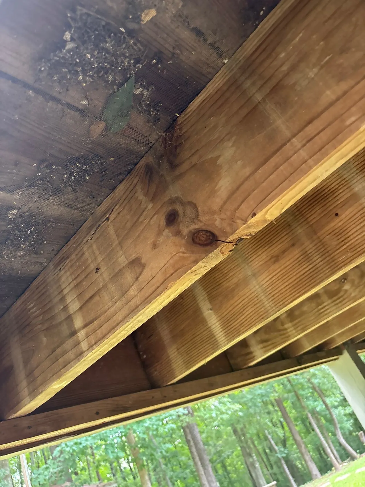 APS Foundation Repair and Waterproofing inspecting a cracked wooden floor joist and structural beams in a crawl space