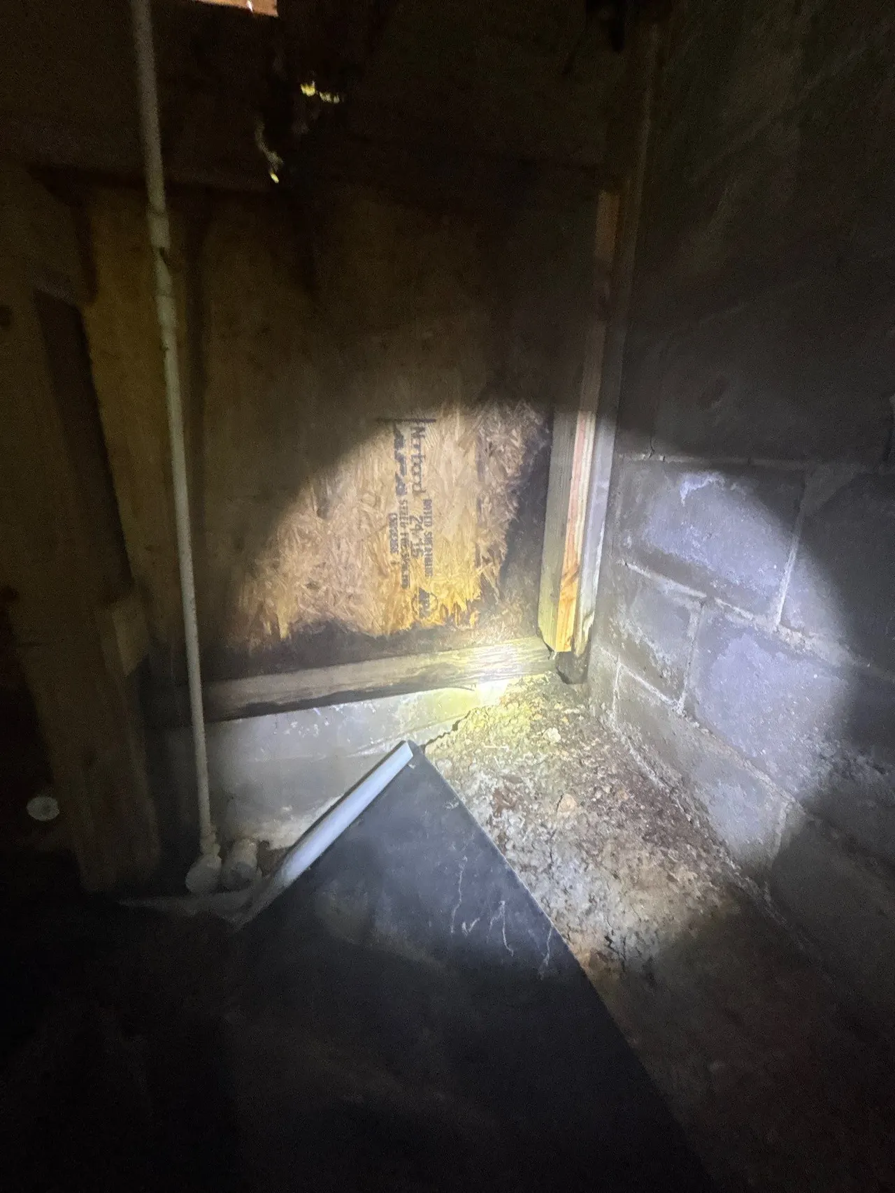 APS Foundation Repair and Waterproofing inspecting crawl space mold with drainage matting and moisture in Alabaster, Alabama.