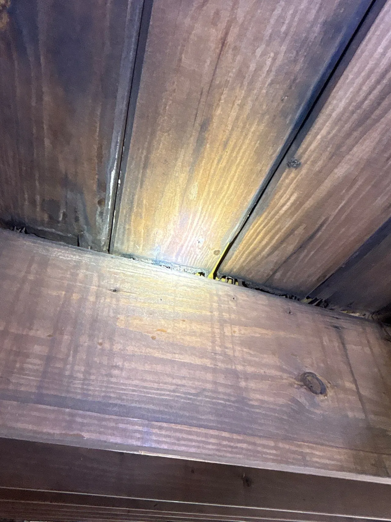 APS Foundation Repair and Waterproofing inspecting moist, discolored wood and floor joists, indicating potential mold