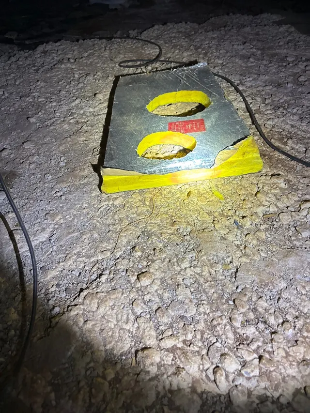 Pests in the Crawl Space on an Alabama home, photographed on an APS Foundation job site