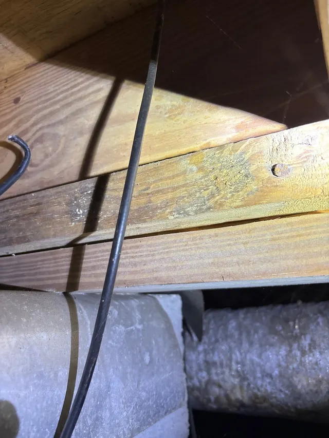 Allergic Reactions on an Alabama home, photographed on an APS Foundation job site