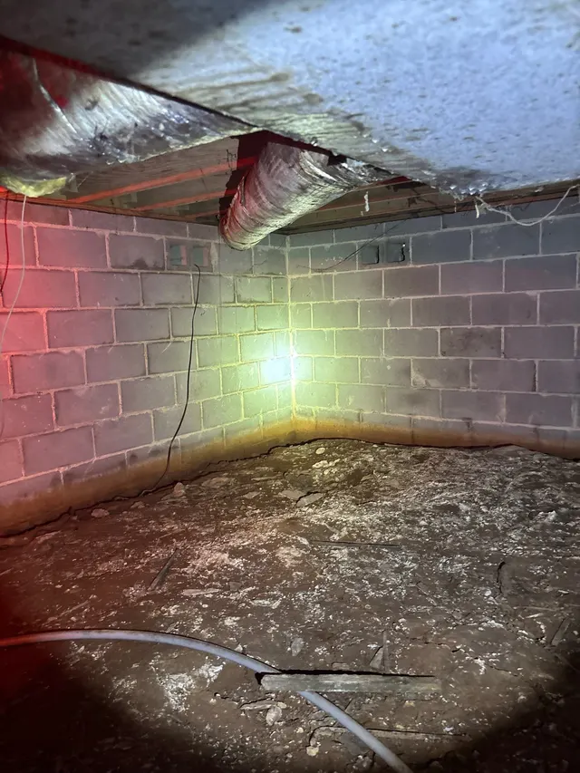 APS Foundation Repair and Waterproofing inspecting a damp crawl space with visible mold, moisture stains, and exposed