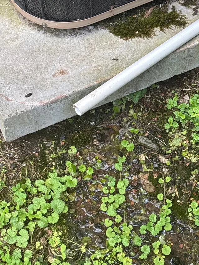 Basement Flooding on an Alabama home, photographed on an APS Foundation job site