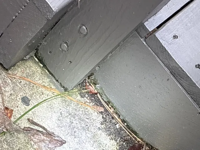 APS Foundation Repair and Waterproofing inspecting a crack in an outdoor concrete expansion joint in Vestavia Hills, AL.
