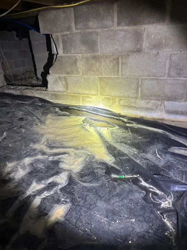 Wet or Stained Walls on an Alabama home, photographed on an APS job site