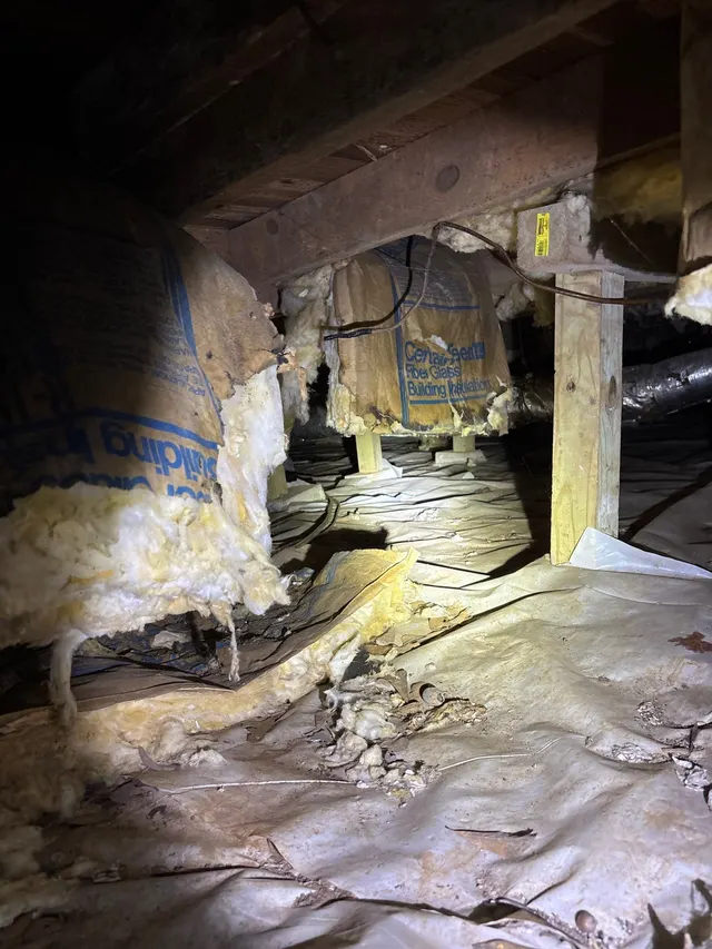 Sagging or Soft Crawl Space Floors on an Alabama home, photographed on an APS Foundation job site