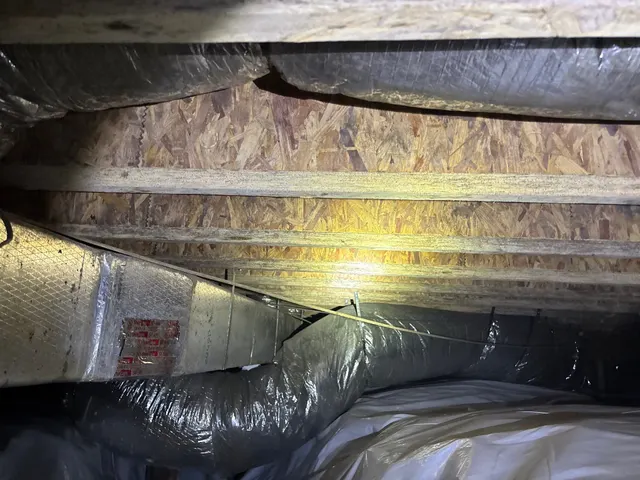 Crawl Space Mold on an Alabama home, photographed on an APS Foundation job site